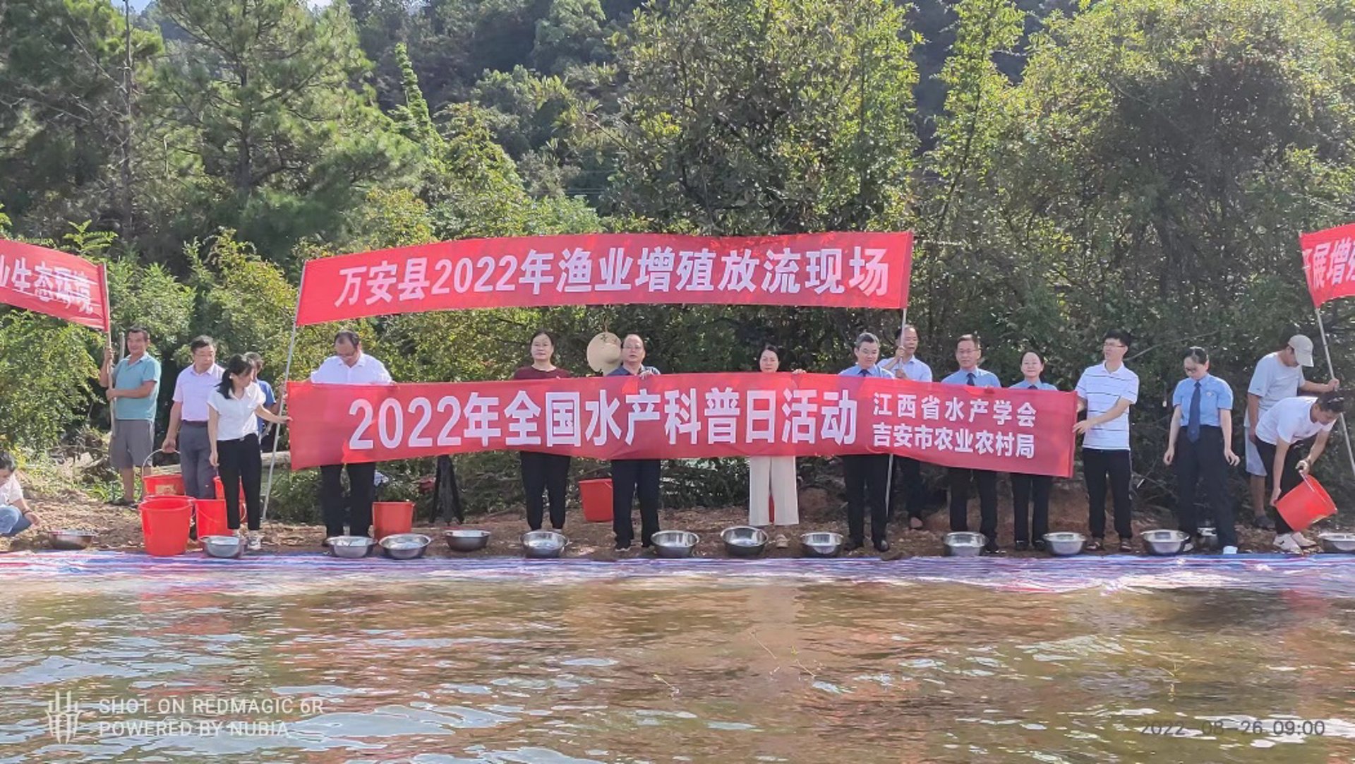 楮岛水产